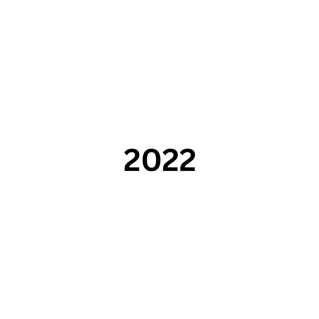 Black text displaying '2022' centered on a white background.