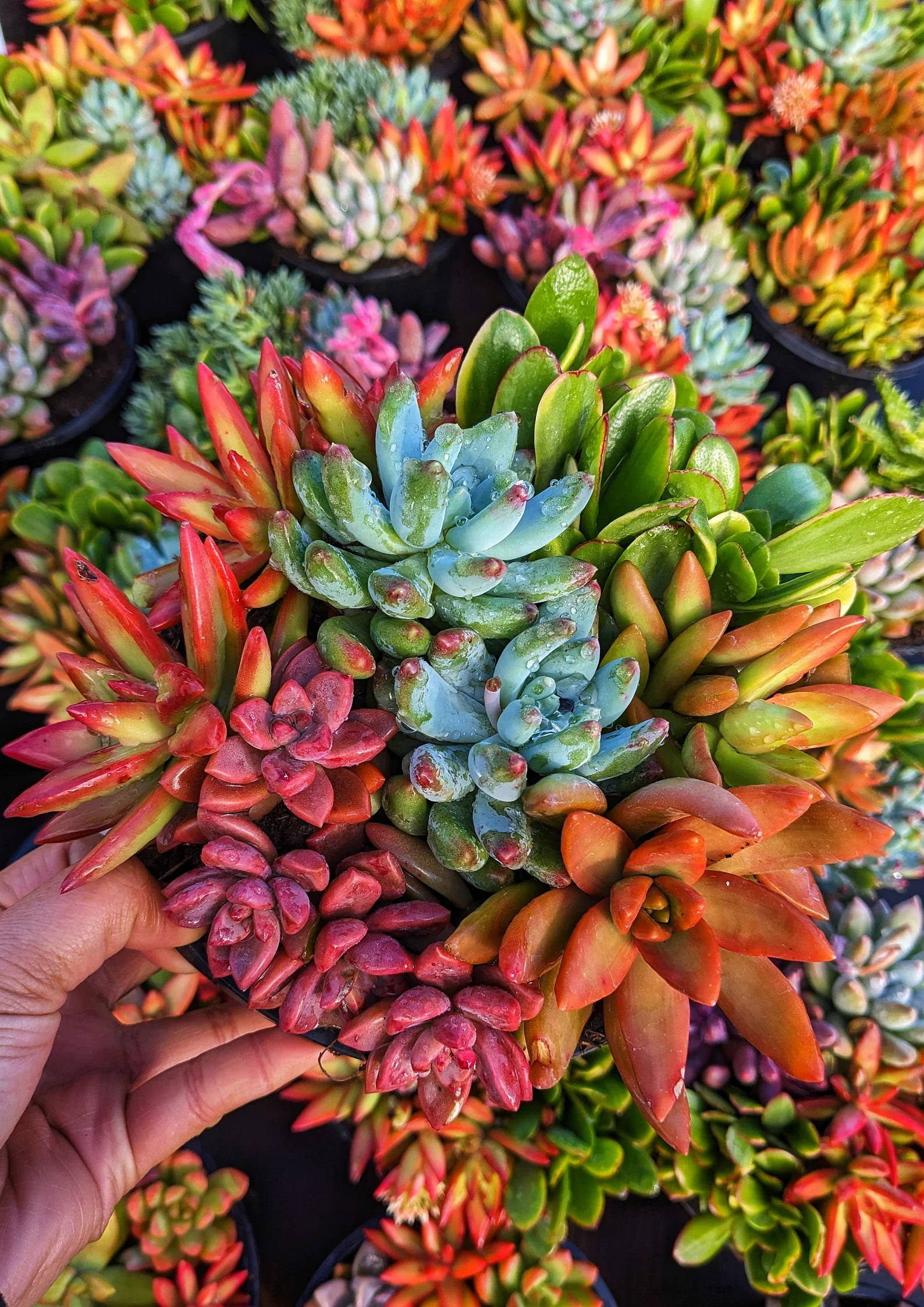 Relationship Session