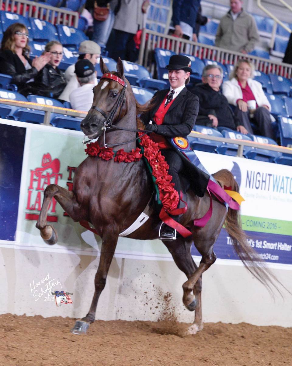 A woman riding a horse in an indoor arena, participating in a horse riding competition. The woman is dressed in formal riding attire, and the horse is decorated with red ribbons and flowers. Spectators are sitting in the background watching the event