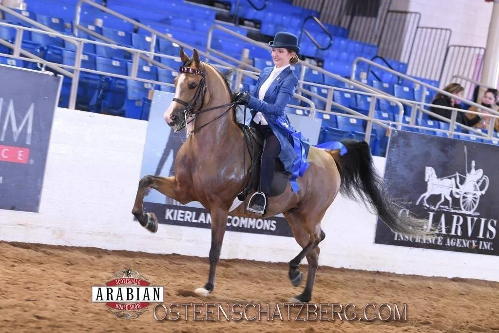 A woman riding a horse in an indoor arena at a horse show, dressed in a blue jacket, white shirt, and black hat, with a blue ribbon attached to her jacket.