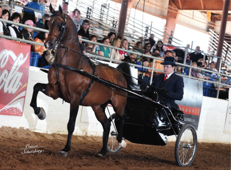 A horse pulling a sulky during a harness race with a driver in formal attire and an audience watching from the stands