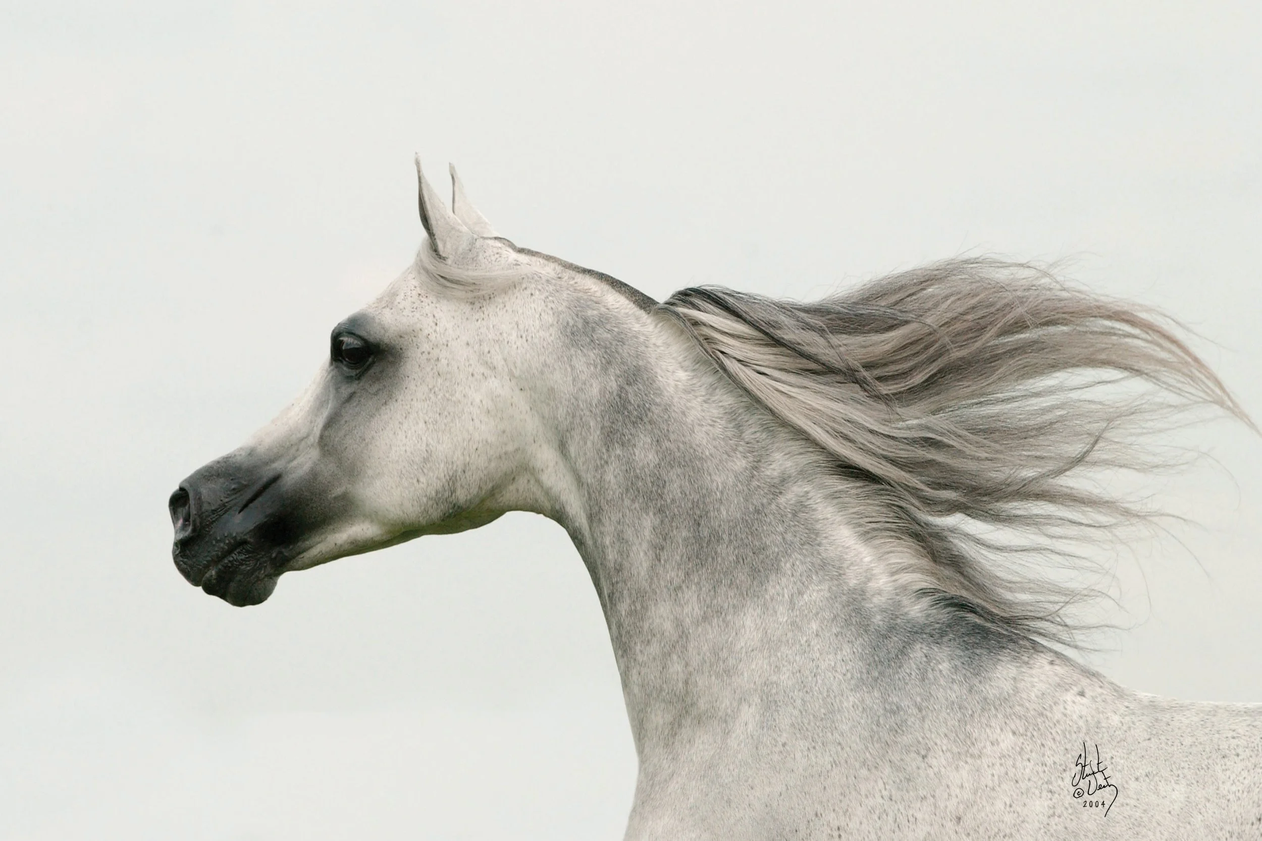 HeyHead Calendar shot_edited-1.jpg