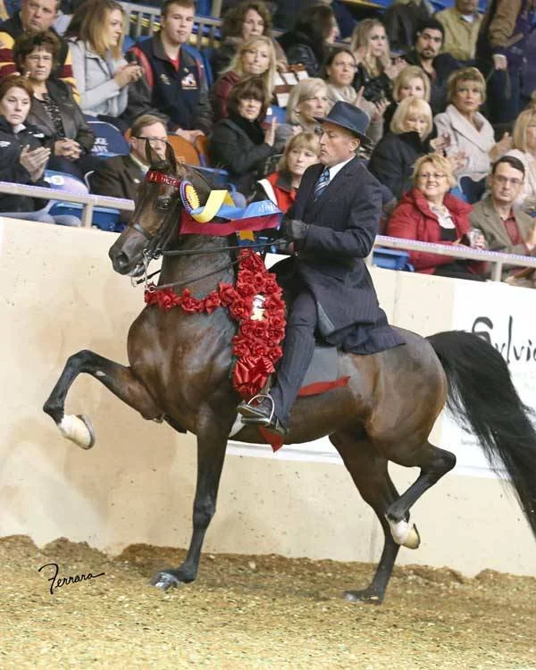 A man riding a decorated horse in an indoor arena with an audience watching.