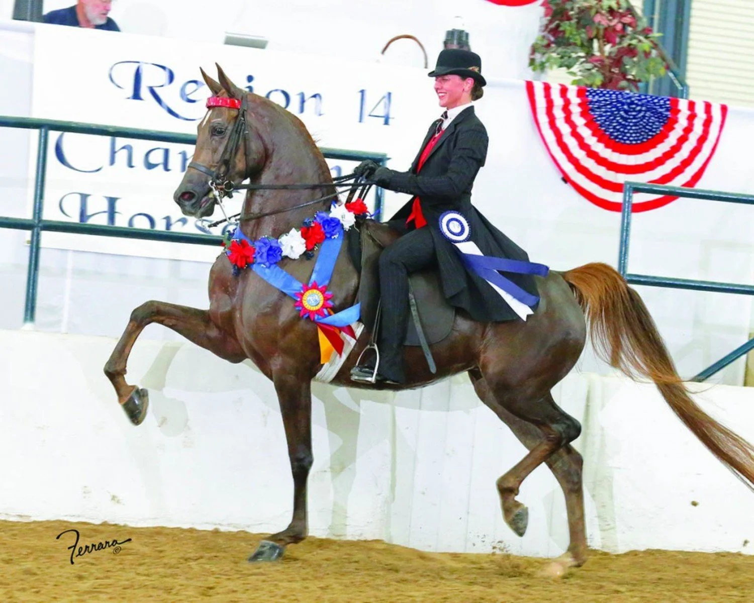 A person riding a brown horse at a horse show, wearing a black dress and hat, holding a lead and smiling. The horse is decorated with red, white, and blue ribbons, and there is a large American flag and a sign in the background celebrating a competit
