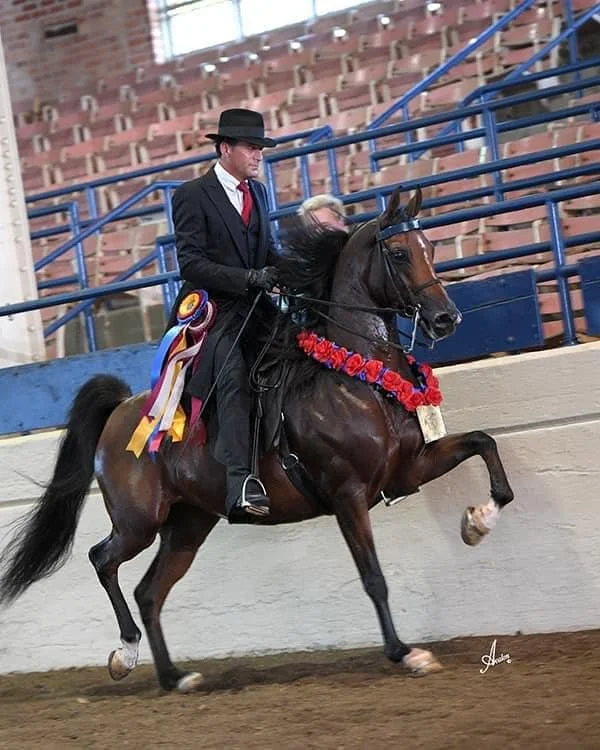 A man in a black suit, red tie, and black hat riding a horse in an indoor arena. The horse is wearing a red floral garland and ribbon, and the rider has ribbons attached to his saddle. There are empty red bleachers in the background.