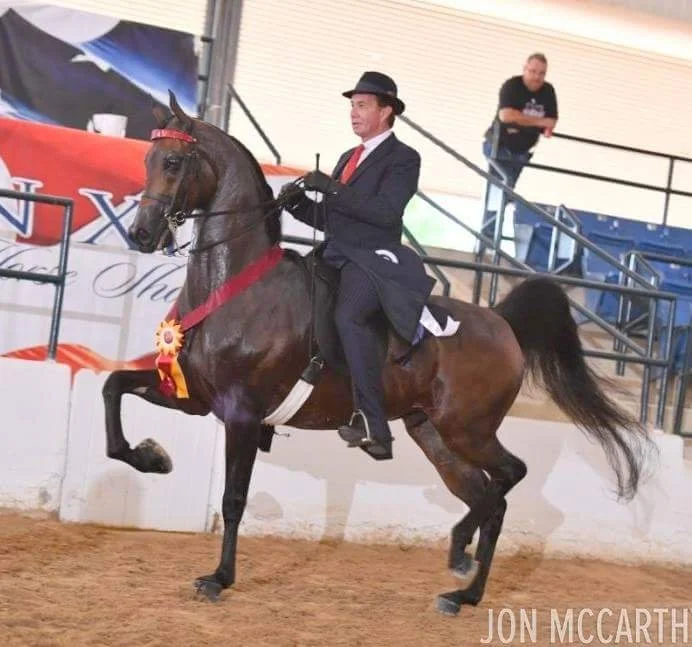 A man in a black hat and suit riding a brown horse inside an indoor arena, with a ribbon on the horse's chest indicating a competition or award, and a person observing in the background.