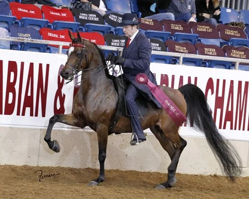 Brian Murch and ROL Firemist - U.S. Nationals Top 10 Victory Pass