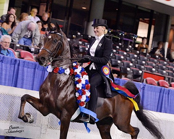 A woman in formal riding attire, including a black jacket, white shirt, and top hat, riding a dark brown horse decorated with red, white, and blue flowers and ribbons, in an indoor arena with spectators.