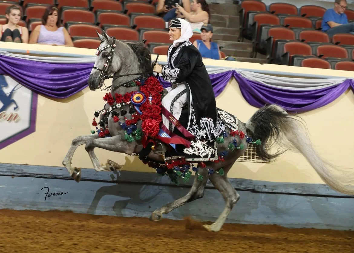 A woman in traditional attire riding a decorated horse in an indoor arena with spectators in the background.