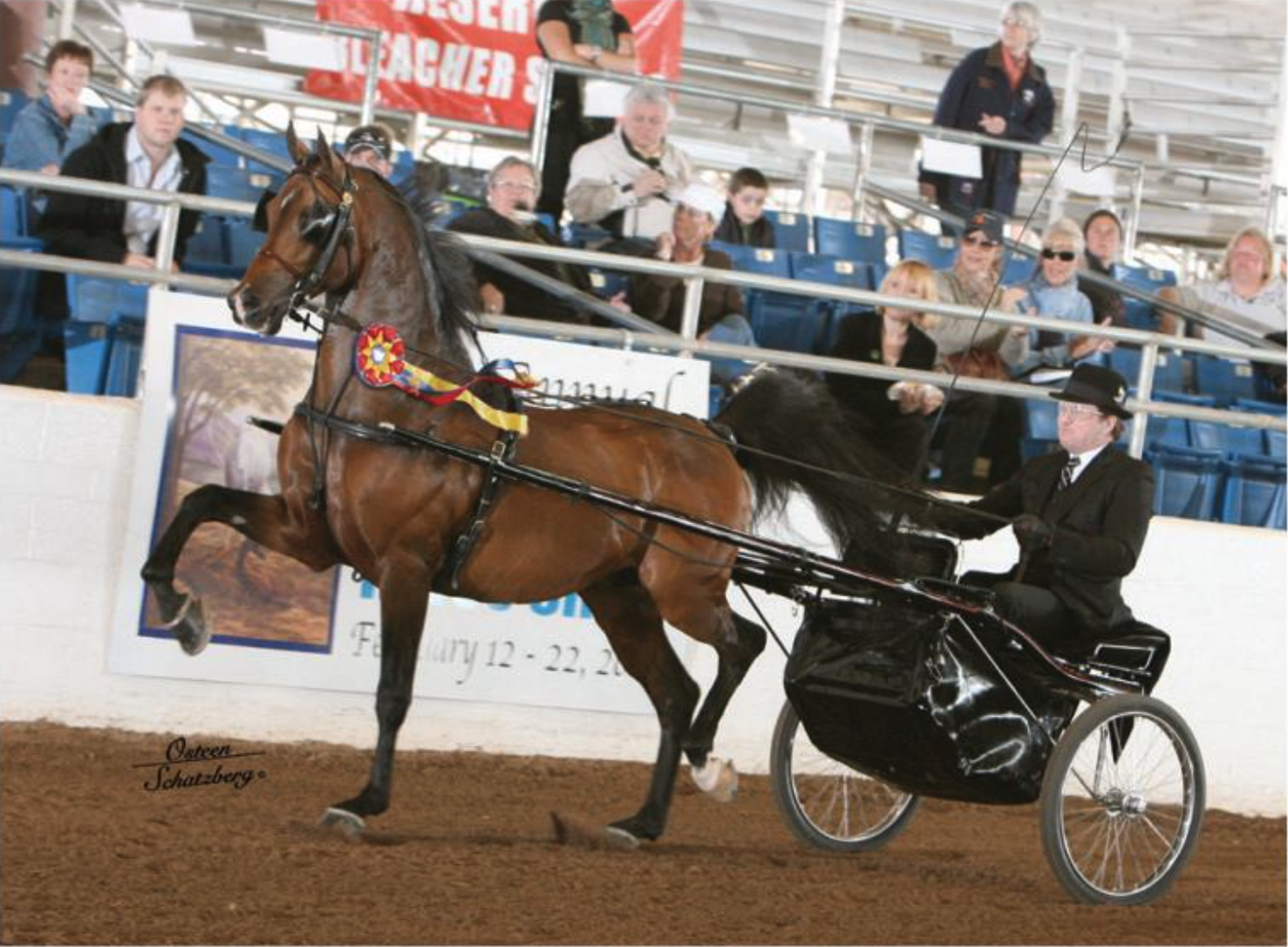 A horse in harness pulling a sulky with a driver dressed in black, at a horse racing event inside an arena. Spectators are seated in stands in the background, some observing the race, with banners visible. The horse is brown with a rosette on its har