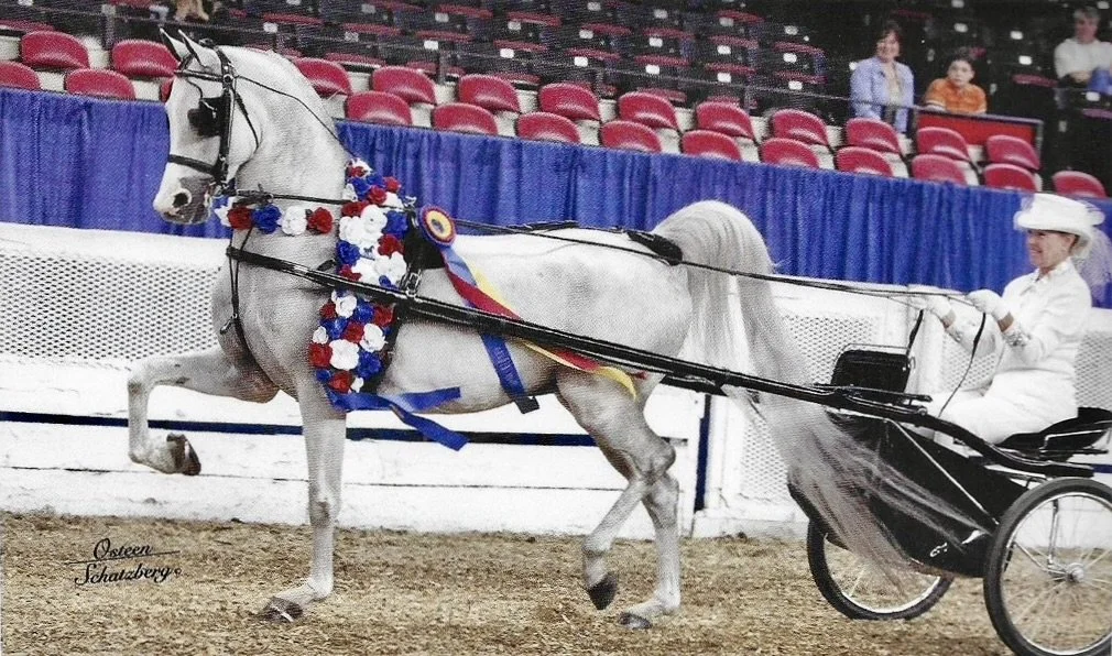 Barbara Chur and A Temptation victory pass