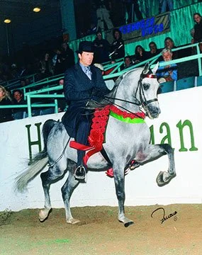 Equestrian rider dressed in formal attire riding a gray horse in an indoor arena with spectators in the background.
