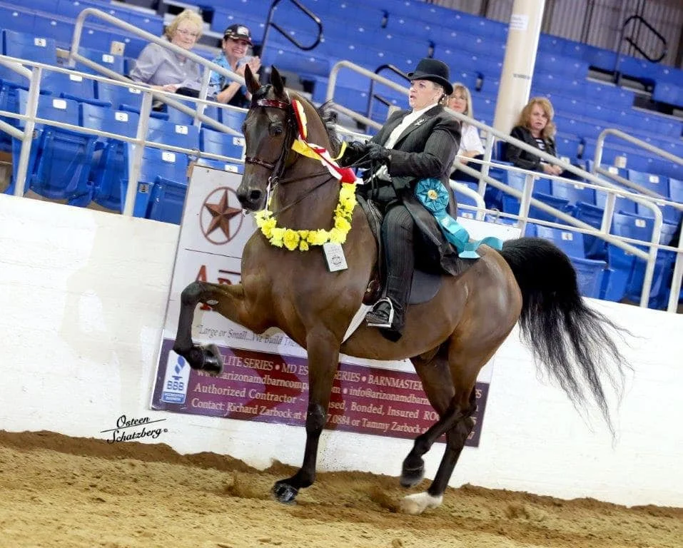 A woman in formal riding attire and a black hat riding a brown horse decorated with a yellow flower garland at an indoor equestrian event. The woman is holding ribbons and appears to be celebrating her win. Spectators are sitting in blue seats in the