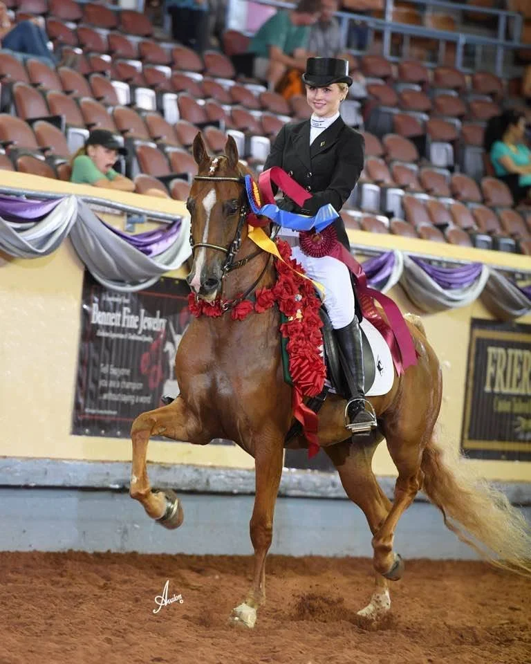 A woman dressed in formal equestrian attire, including a black jacket, white pants, and a top hat, is riding a decorated chestnut horse with ribbons and garlands in an indoor arena. The woman is smiling and the arena has rows of empty seats with purp