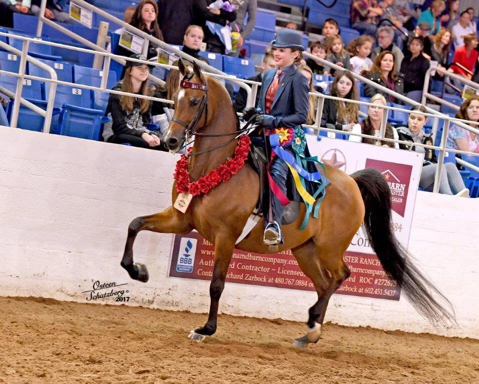 Young girl riding a horse in an indoor arena during a competition, with an audience watching. The horse is decorated with a red garland, and the girl is dressed in a show outfit with a blue hat, blazer, and a colorful ribbon sash.