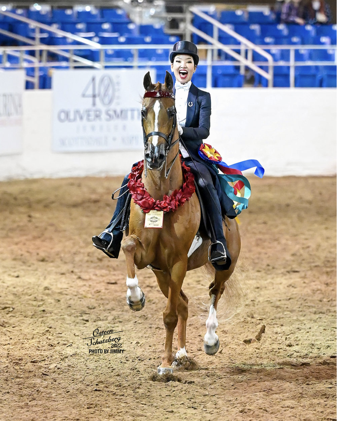 A woman in a show jacket and top hat riding a horse in an indoor arena, with a red garland around the horse's neck and ribbons. The woman is smiling and appears to have won a competition.