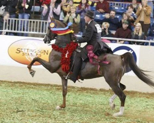 A person riding a horse decorated with a red garland at an indoor equestrian event with spectators watching.