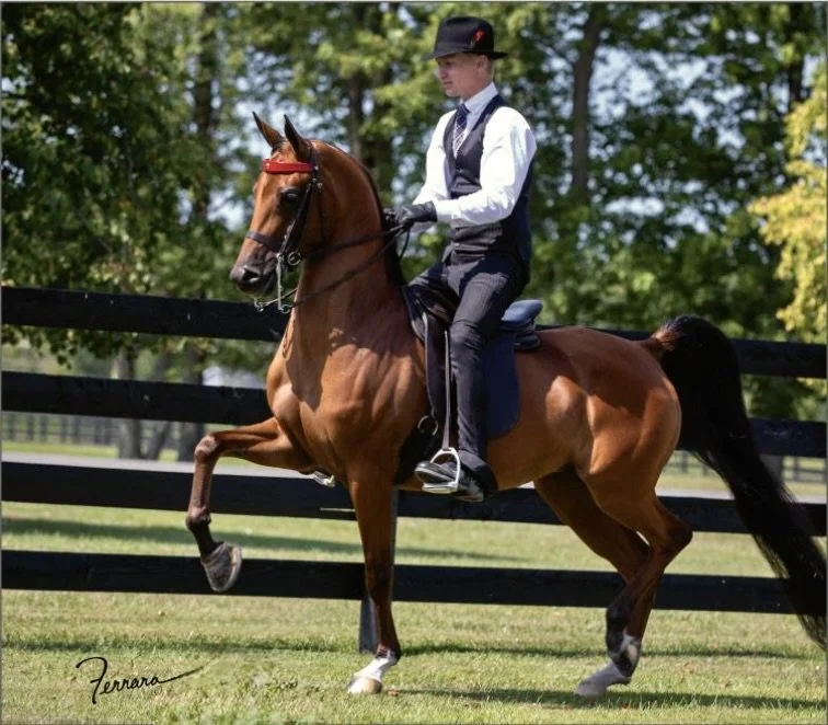 Hannah TRGR and Lance Lewis trotting around the farm