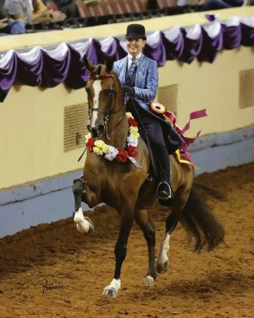 ERA Thrillicious and Sawyer Tehan Reserve Champion victory pass at the 2019 Arabian Youth Nationals