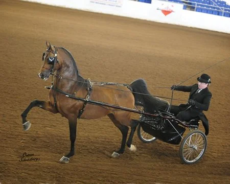 A horse pulling a carriage with a driver in a black suit and hat on a dirt track at a competition or show.
