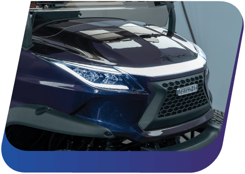 Chameleon Blue Purple (Copy) (Copy)