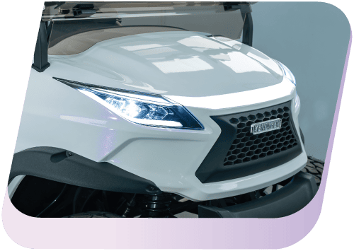 Chameleon White Purple (Copy) (Copy)