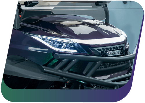 Chameleon Green Purple (Copy) (Copy)