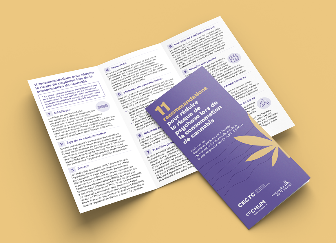 A pamphlet titled '11 recommandations pour réduire le risque de psychose lors de la consommation de cannabis' lies on top of another sheet of paper. The pamphlet is purple and tan, with corner cut at the top right.