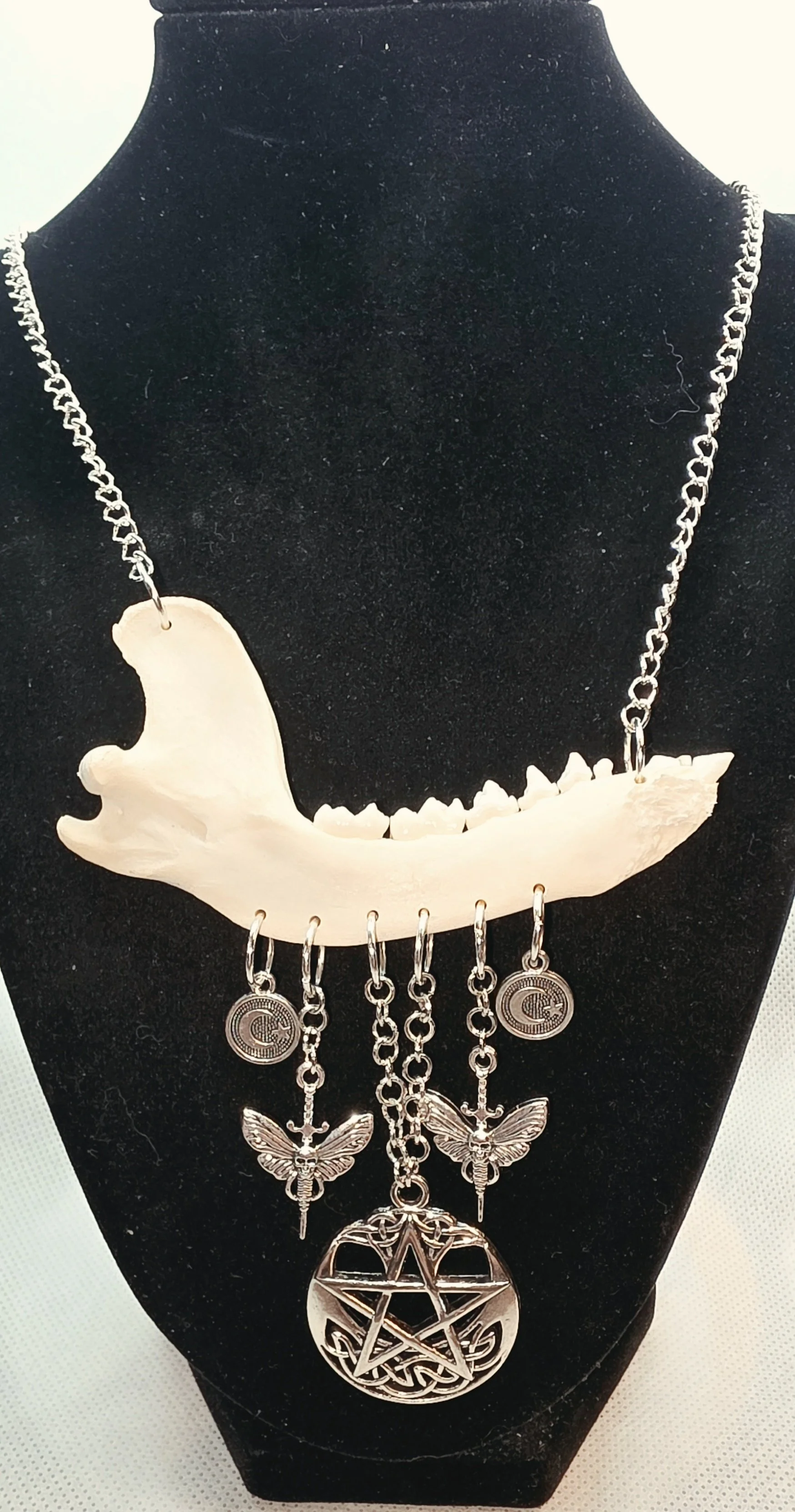 Gothic Raccoon Jaw Bone Charm Necklace