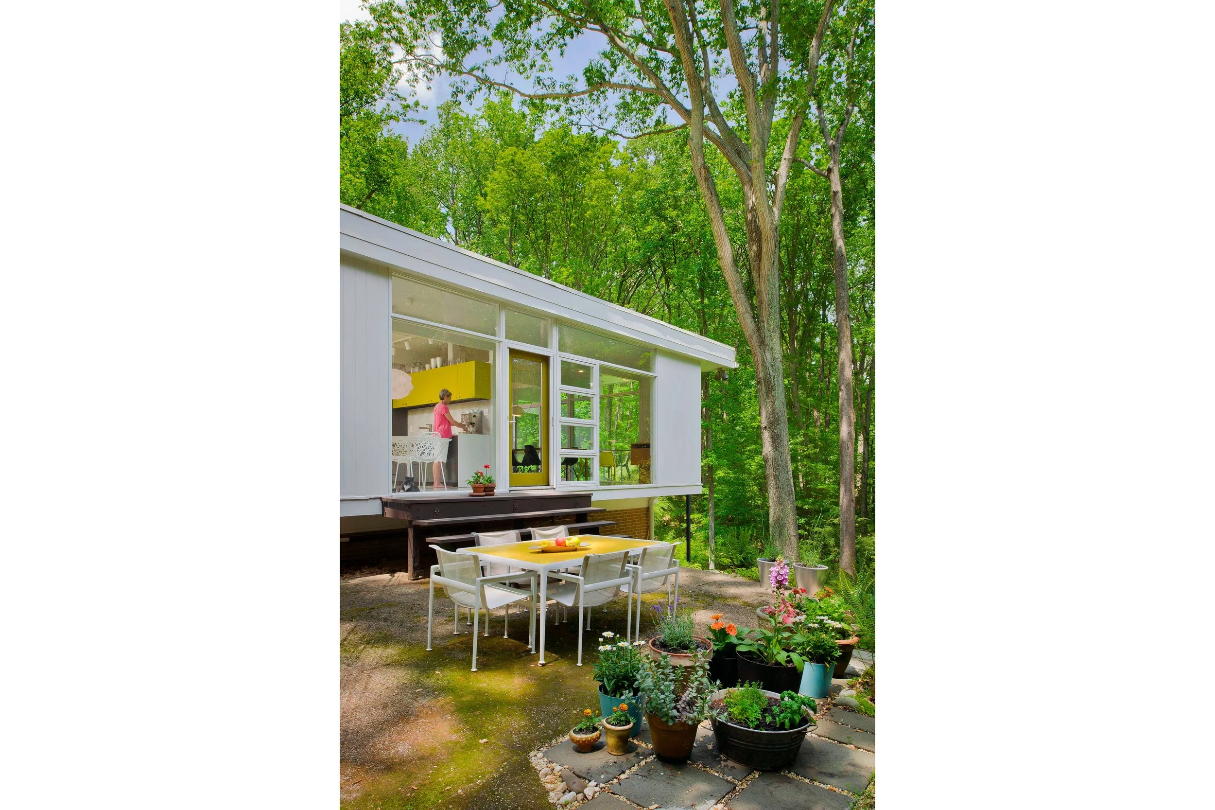 An image of Moss Hill.