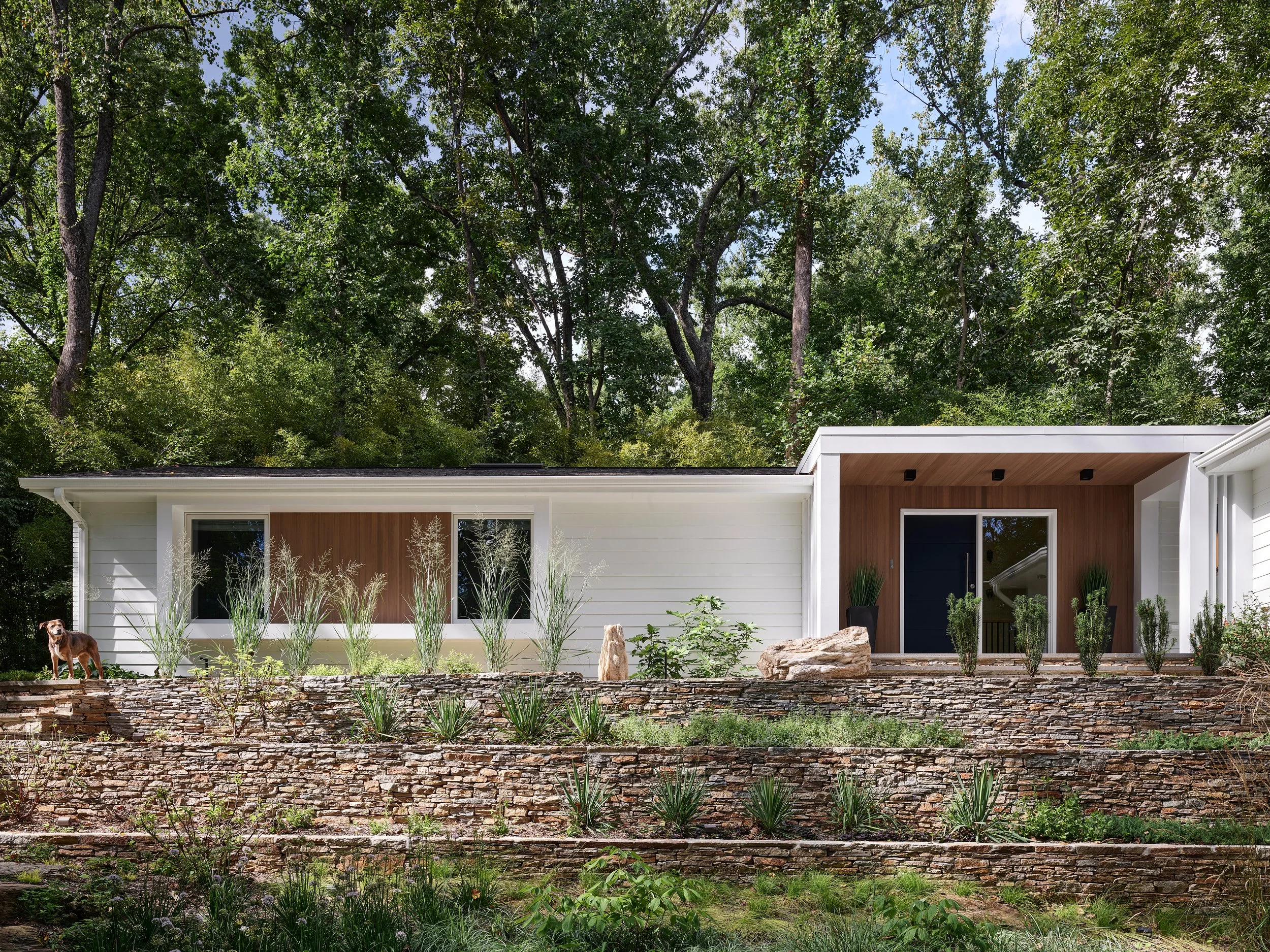 An image of Greenspacing.