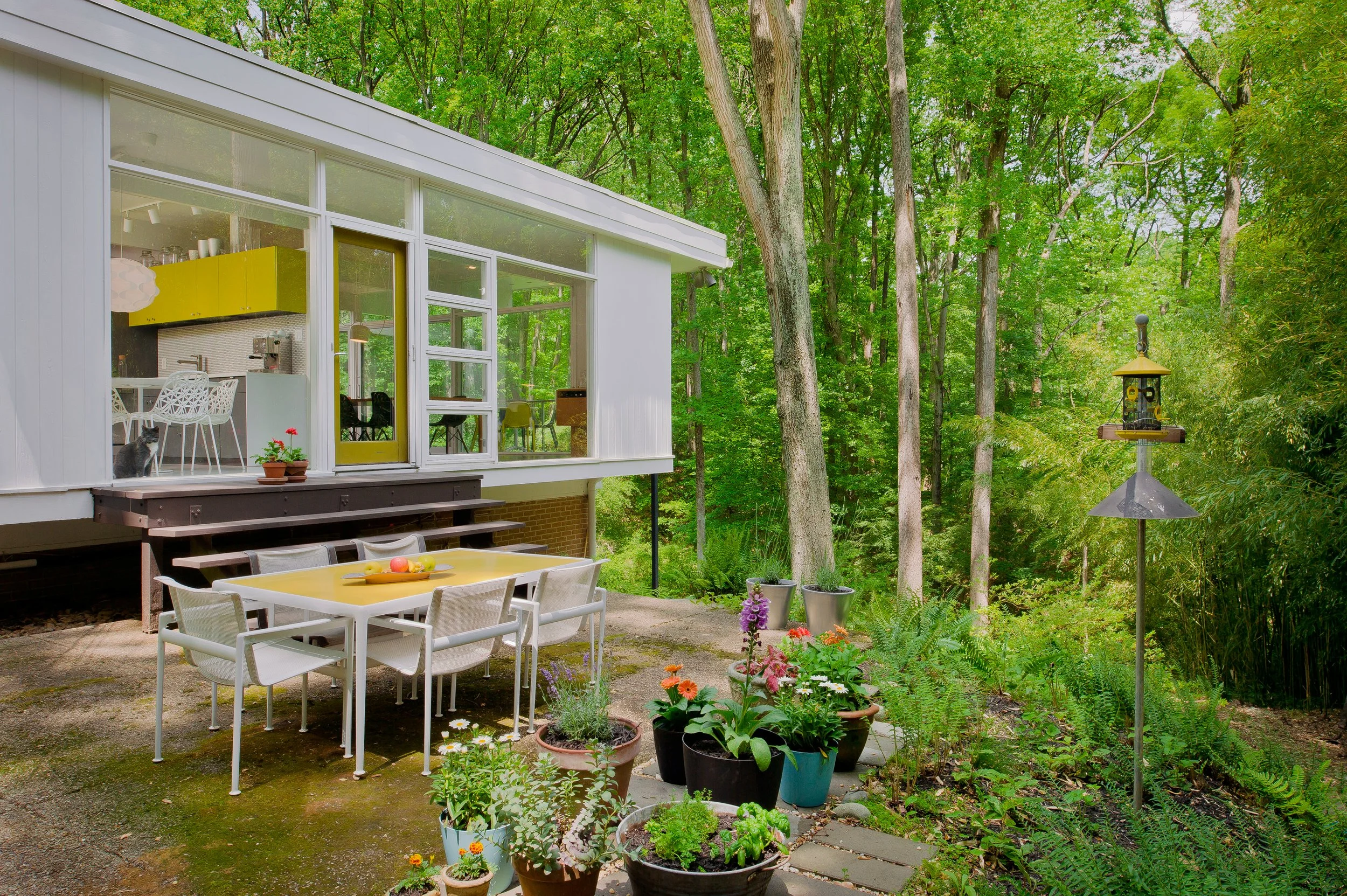 An image of Moss Hill Kitchen