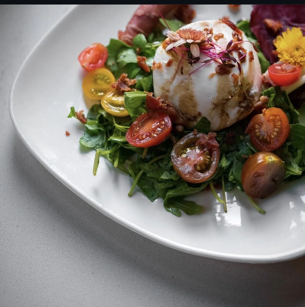 Salad with cherry tomatoes, mixed greens, topped with burrata cheese garnished with edible flowers and microgreens.