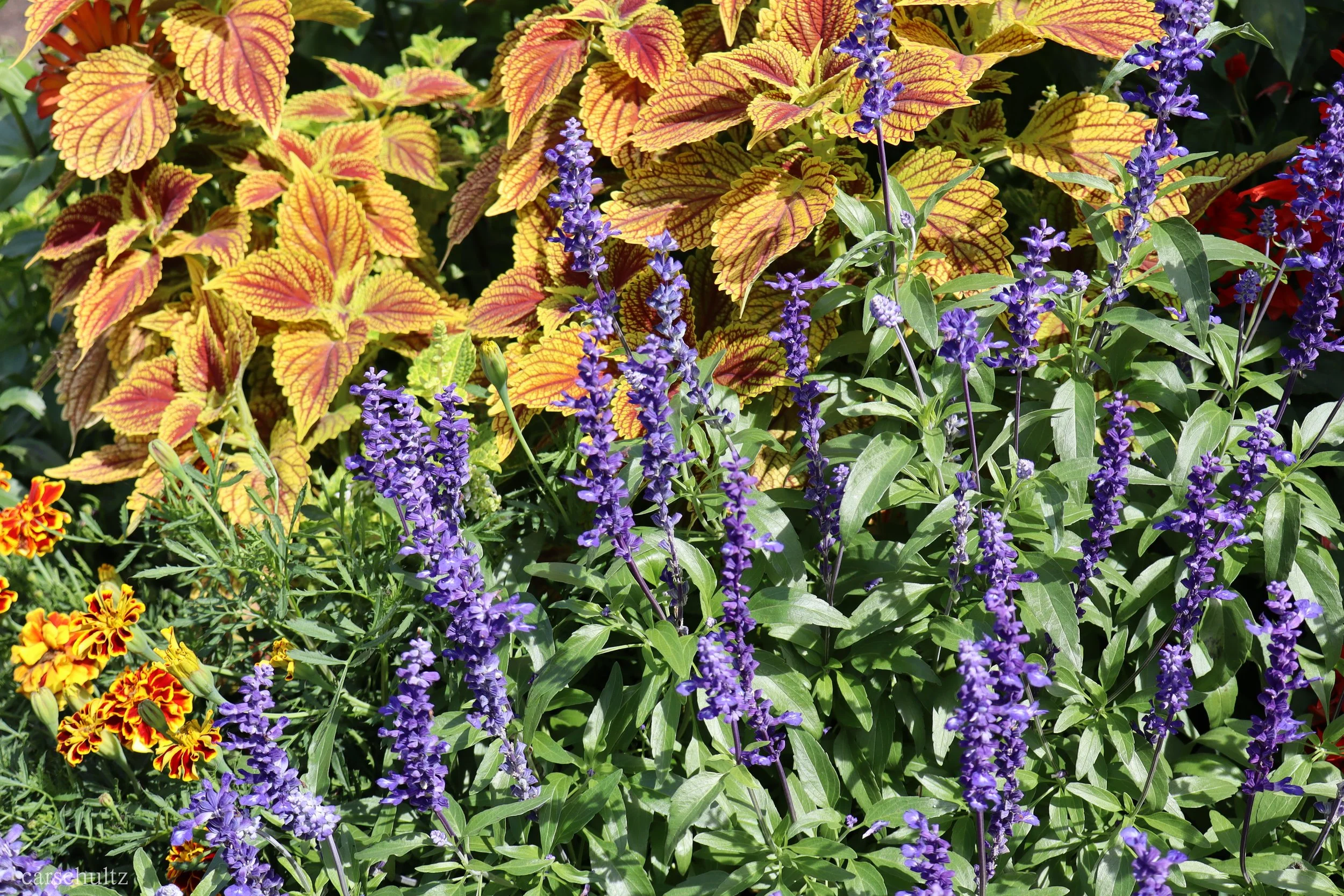 9_8_25- edited-19.jpg