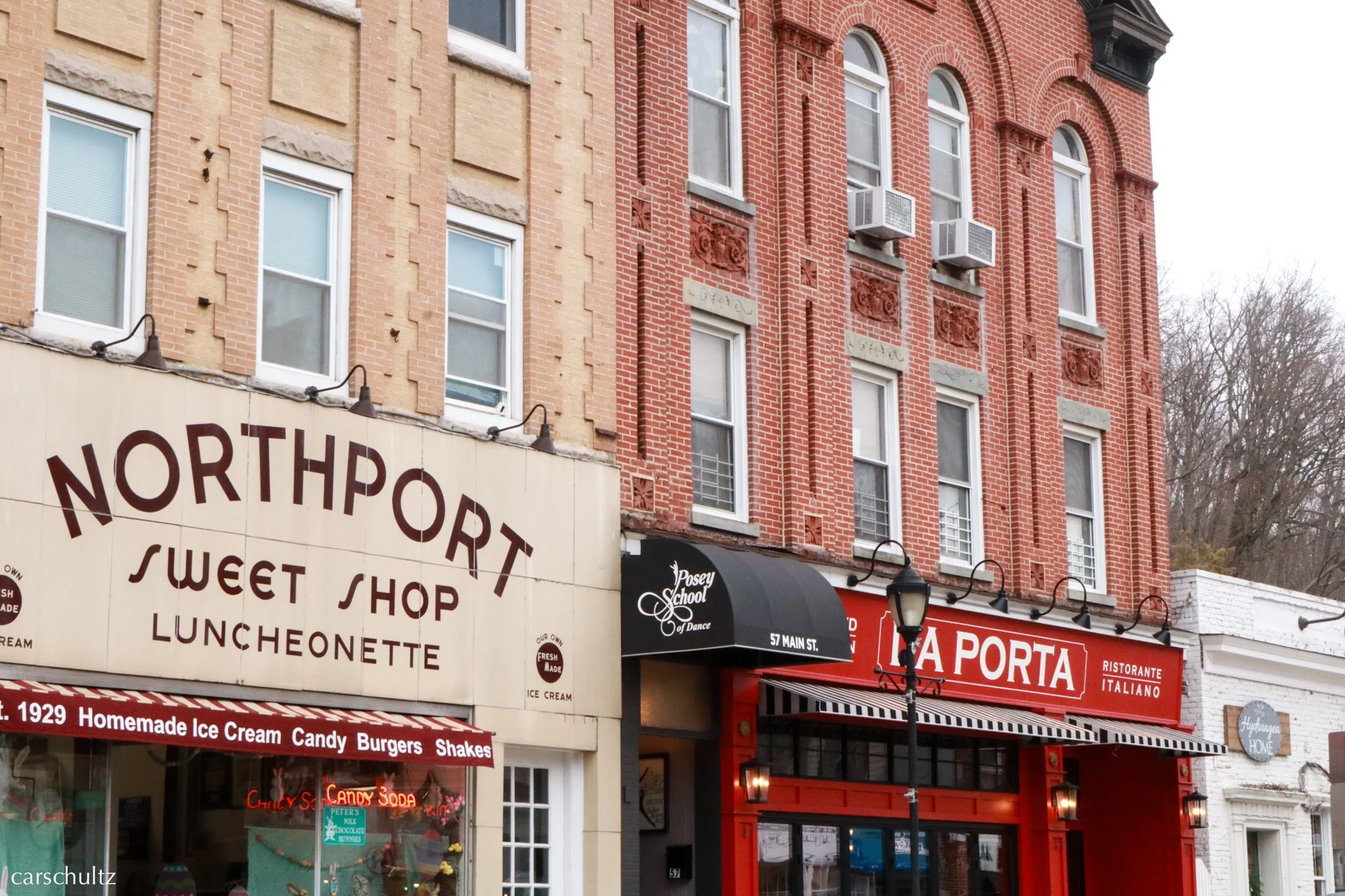 carol_edits-6 copy.jpg