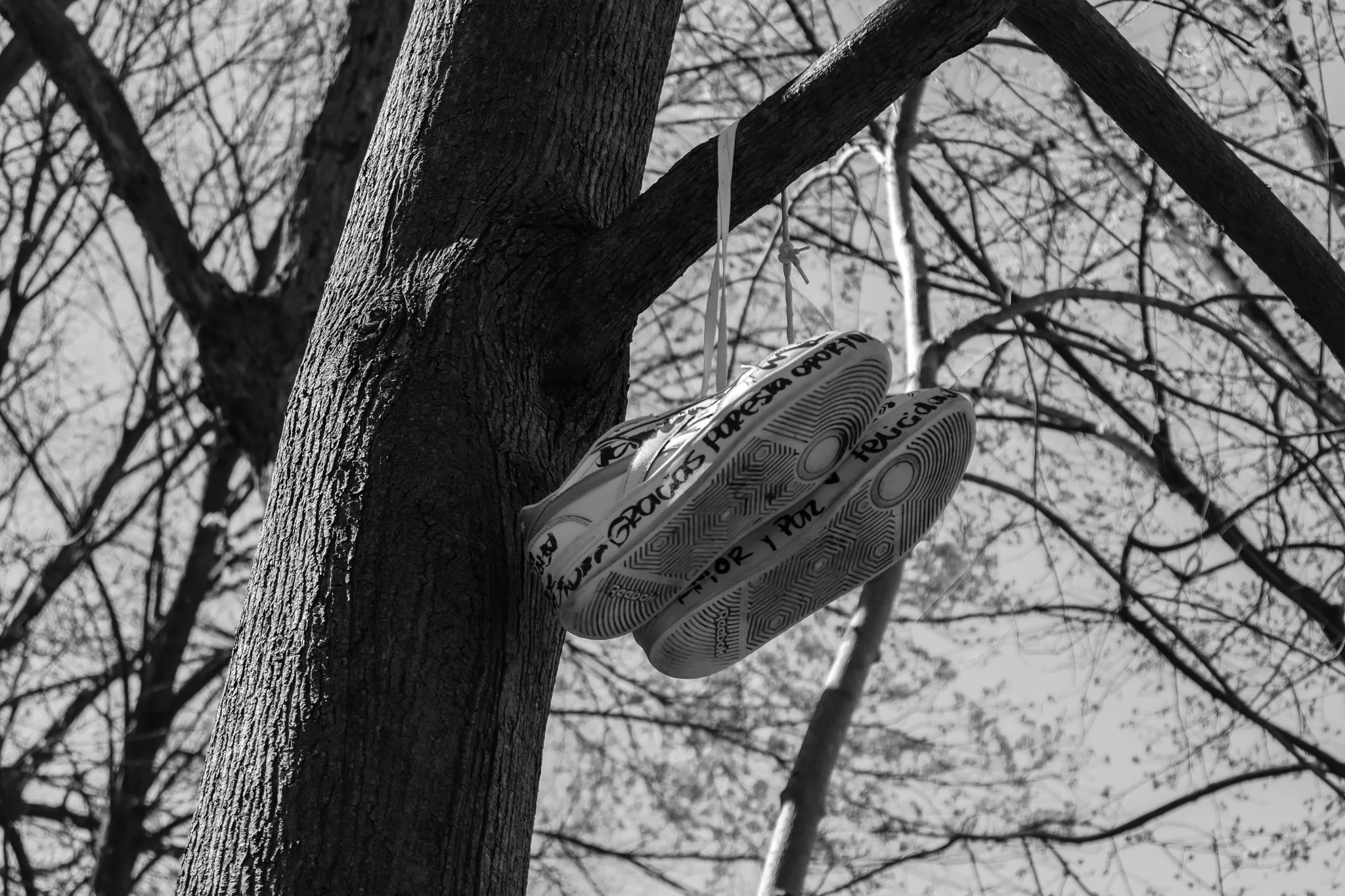 carol_edits-11 copy.jpg