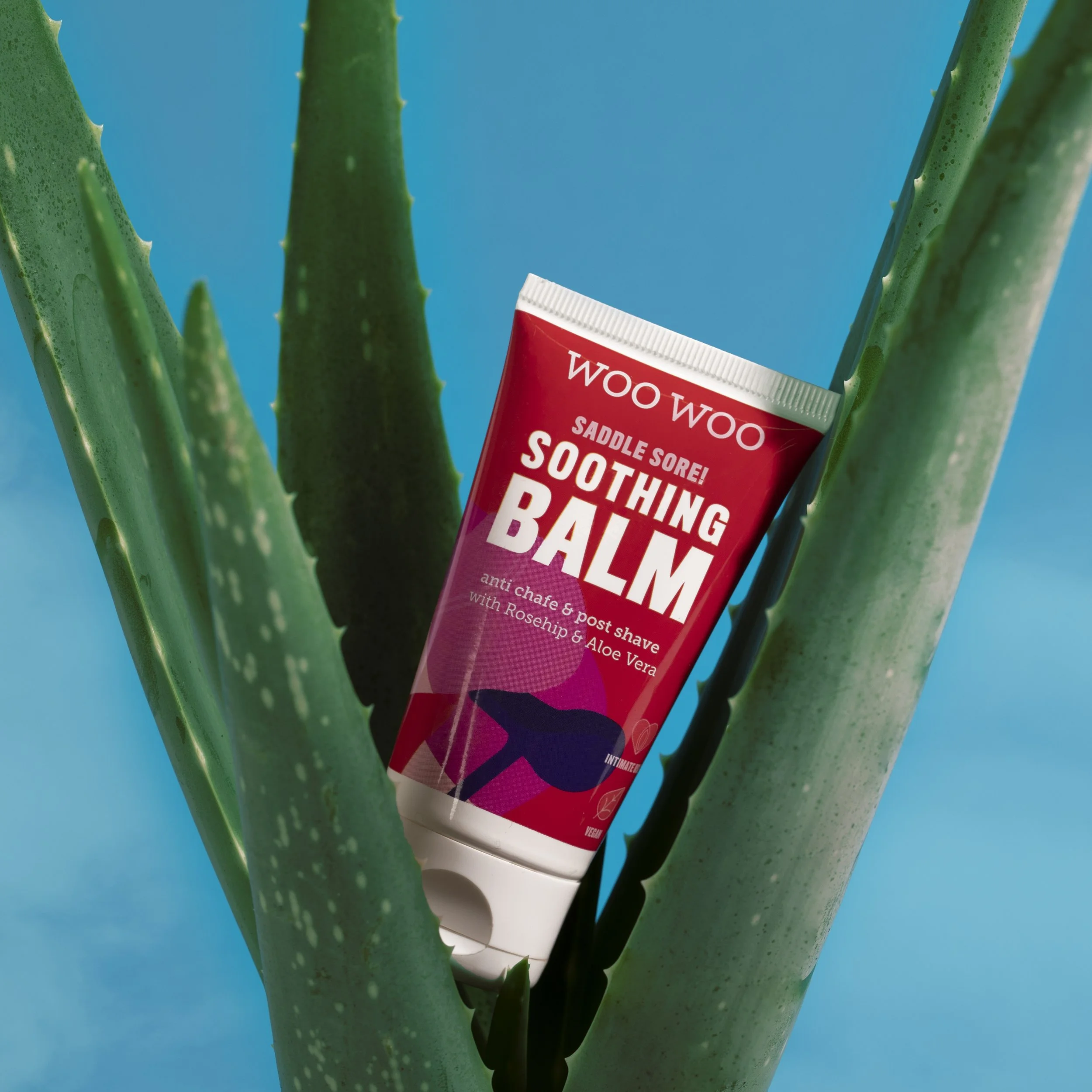A red tube of Woo Woo Sedle Sore! Soothing Balm with aloe vera and rosehip, placed among large green aloe vera plant leaves against a blue background.