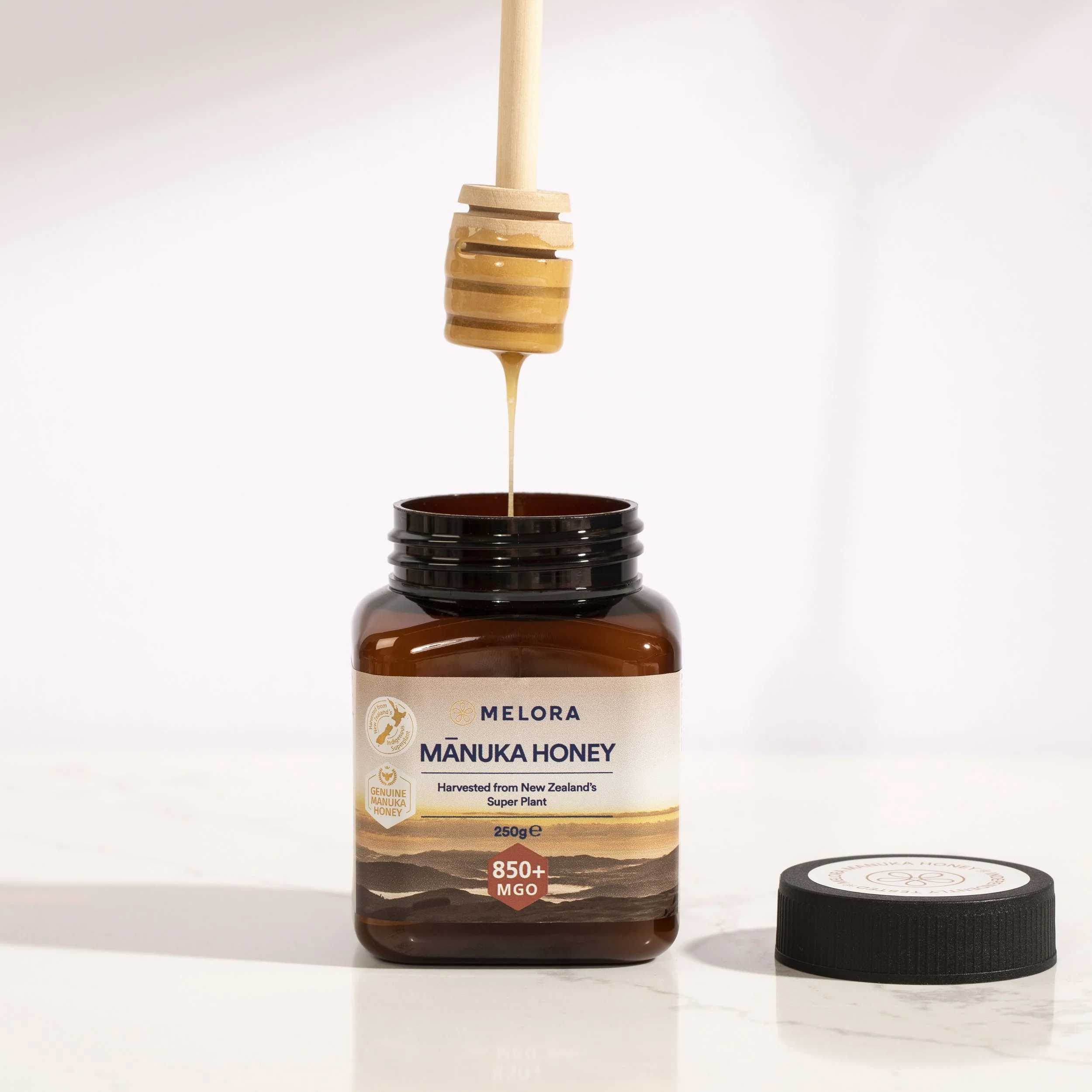 1S5A3553 copycopynew.JPG