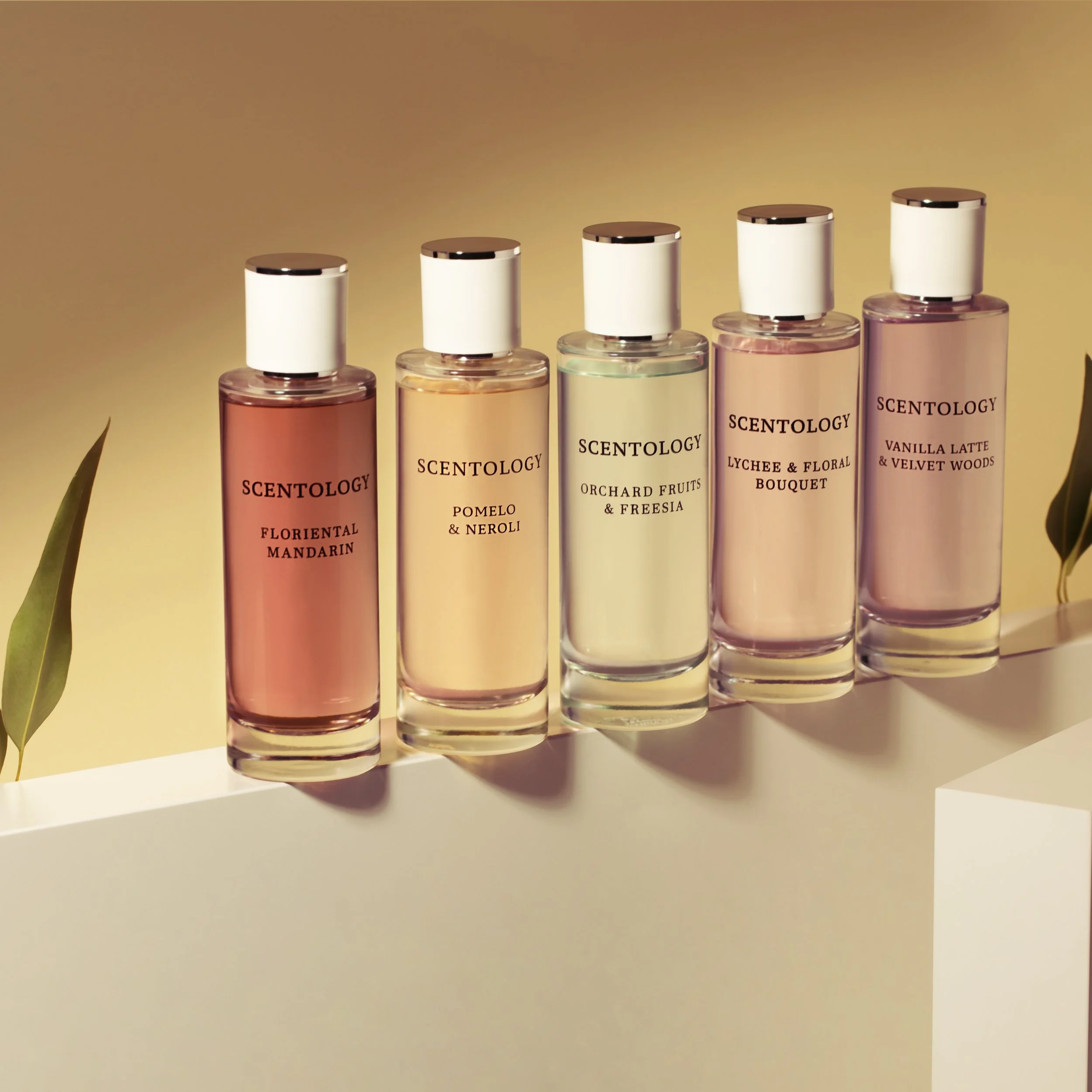 Five bottles of Scentology perfume lined up on a white surface against a gradient background, with some green leaves on the sides.