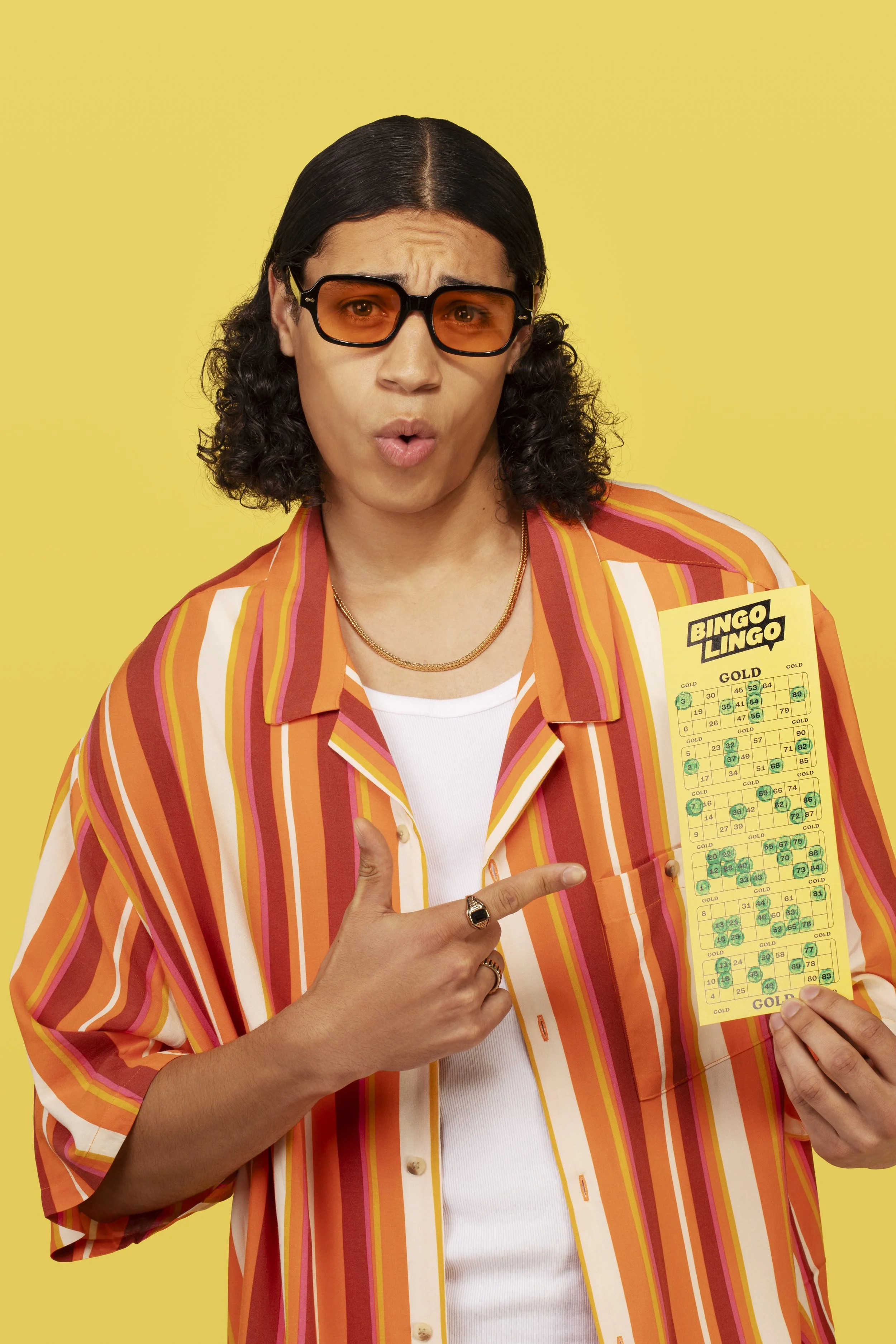 Bingo Lingo22121 copyCropped 4x6.JPG