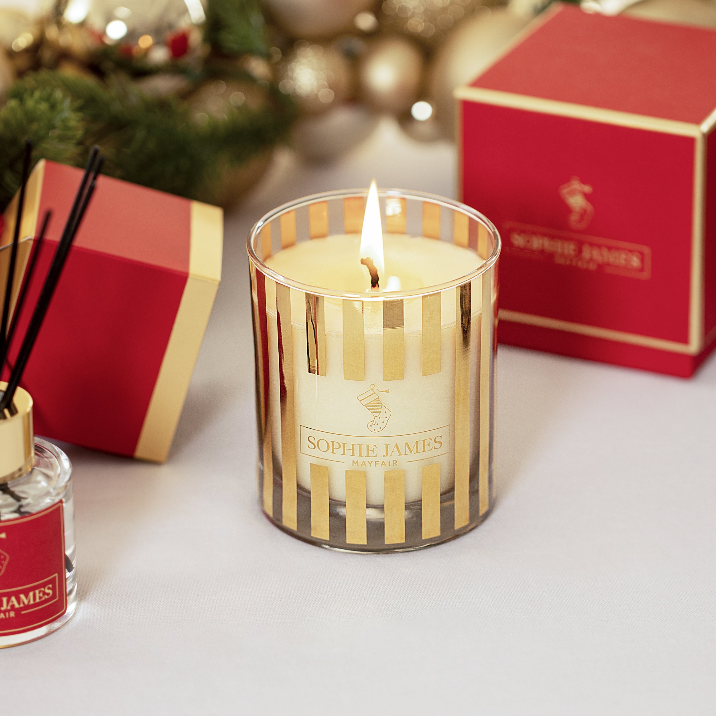 Sophie James Xmas shoot1029 copySquare.JPG