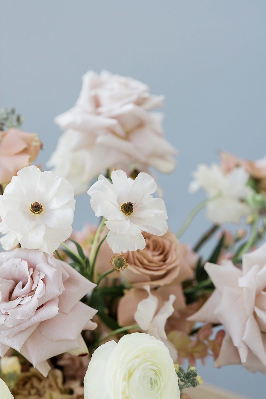 A bouquet of pale pink, white, and cream-colored flowers against a light blue background.