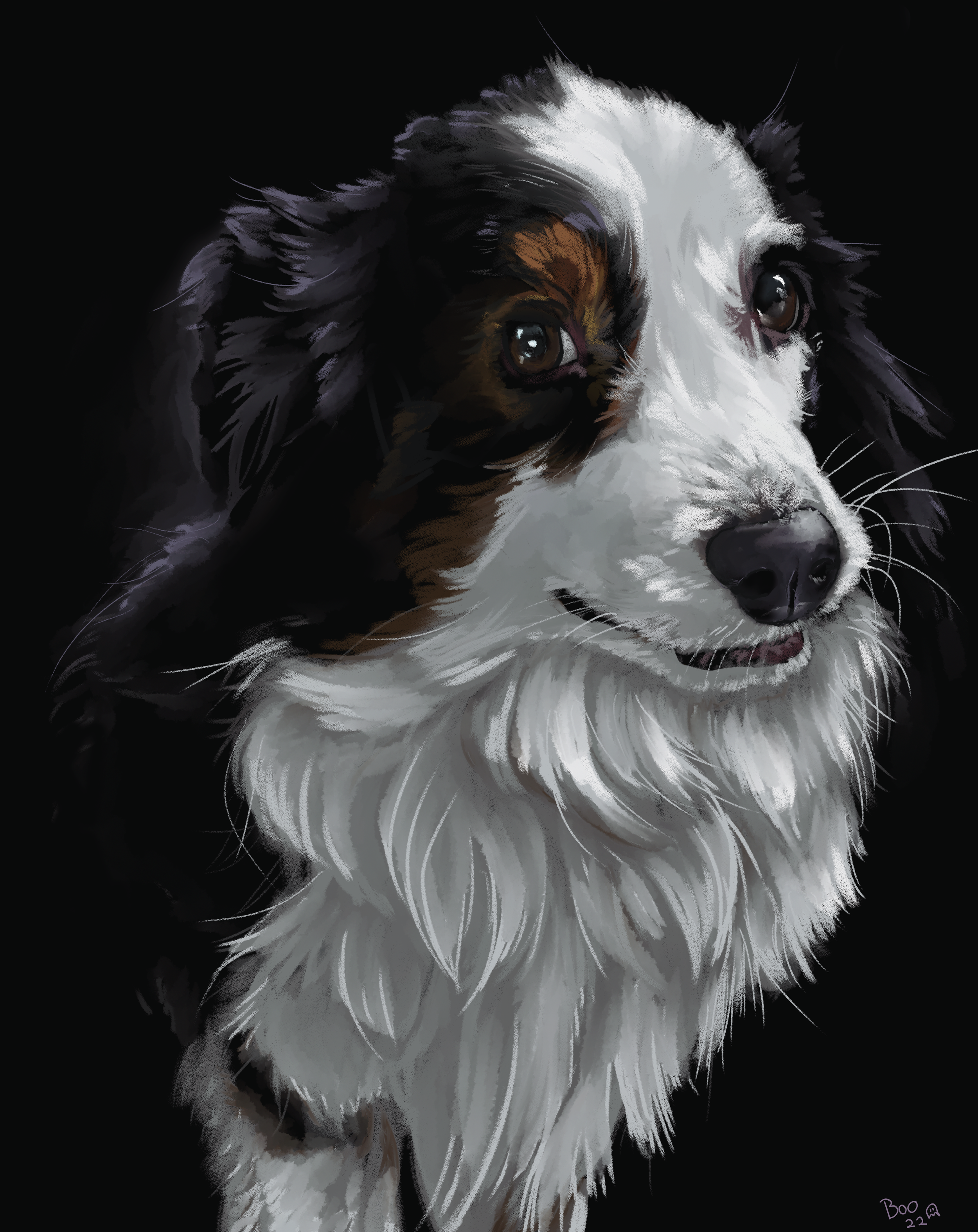 Digital painting of a Border Collie dog with a black, white, and brown coat, looking to the side against a black background.