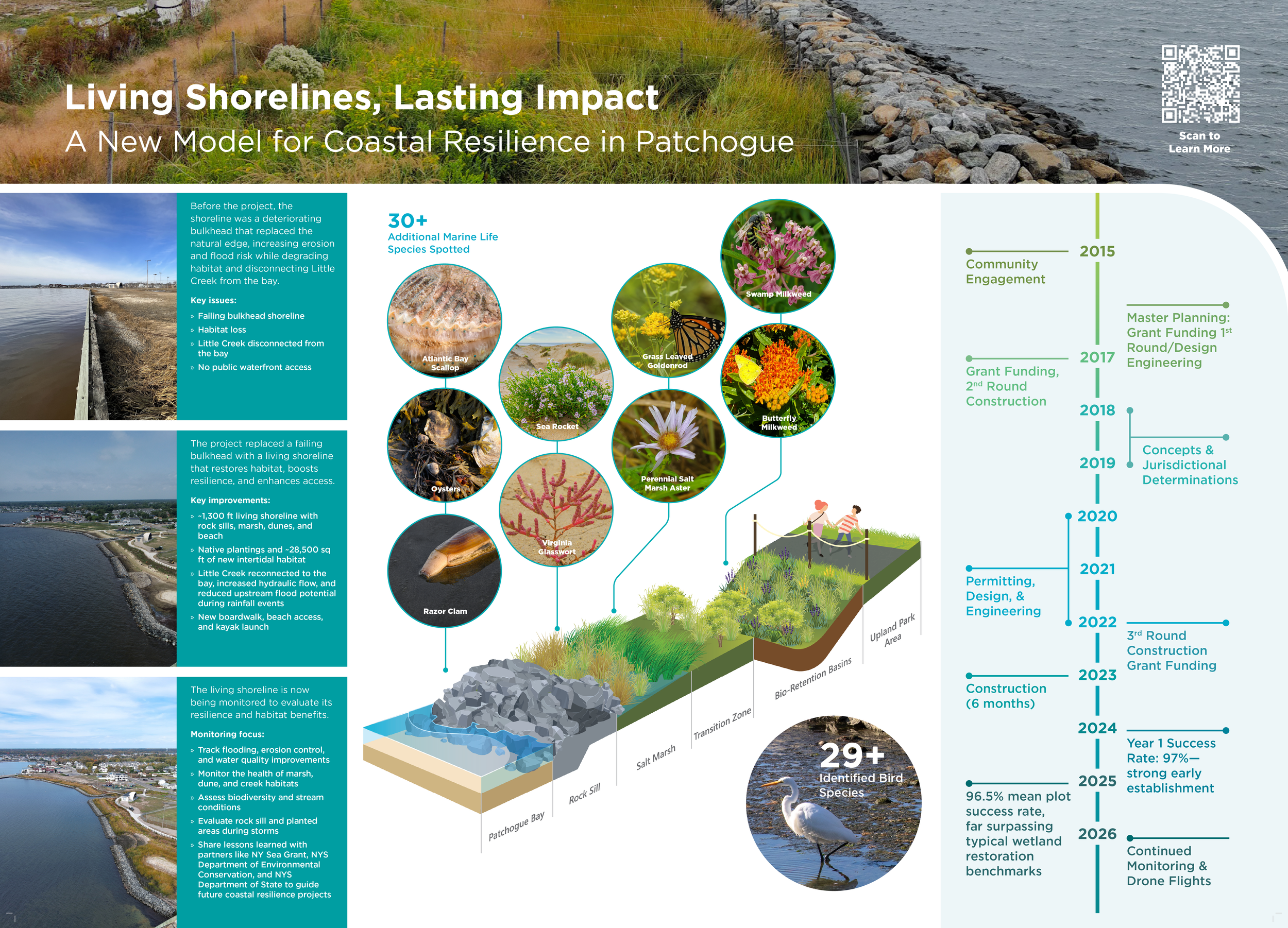 The Shorefront Park team that requested public outreach materials requested a second board for a convention about resiliency. This board goes into detail about the various project phases, wildlife seen over the years, and a timeline of where the proj