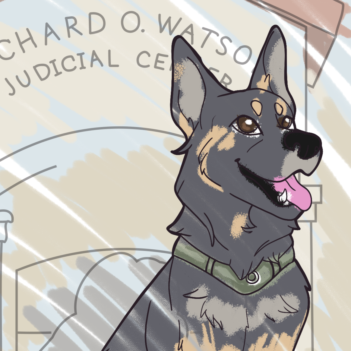 Judge Takes a Walk Coloring Book