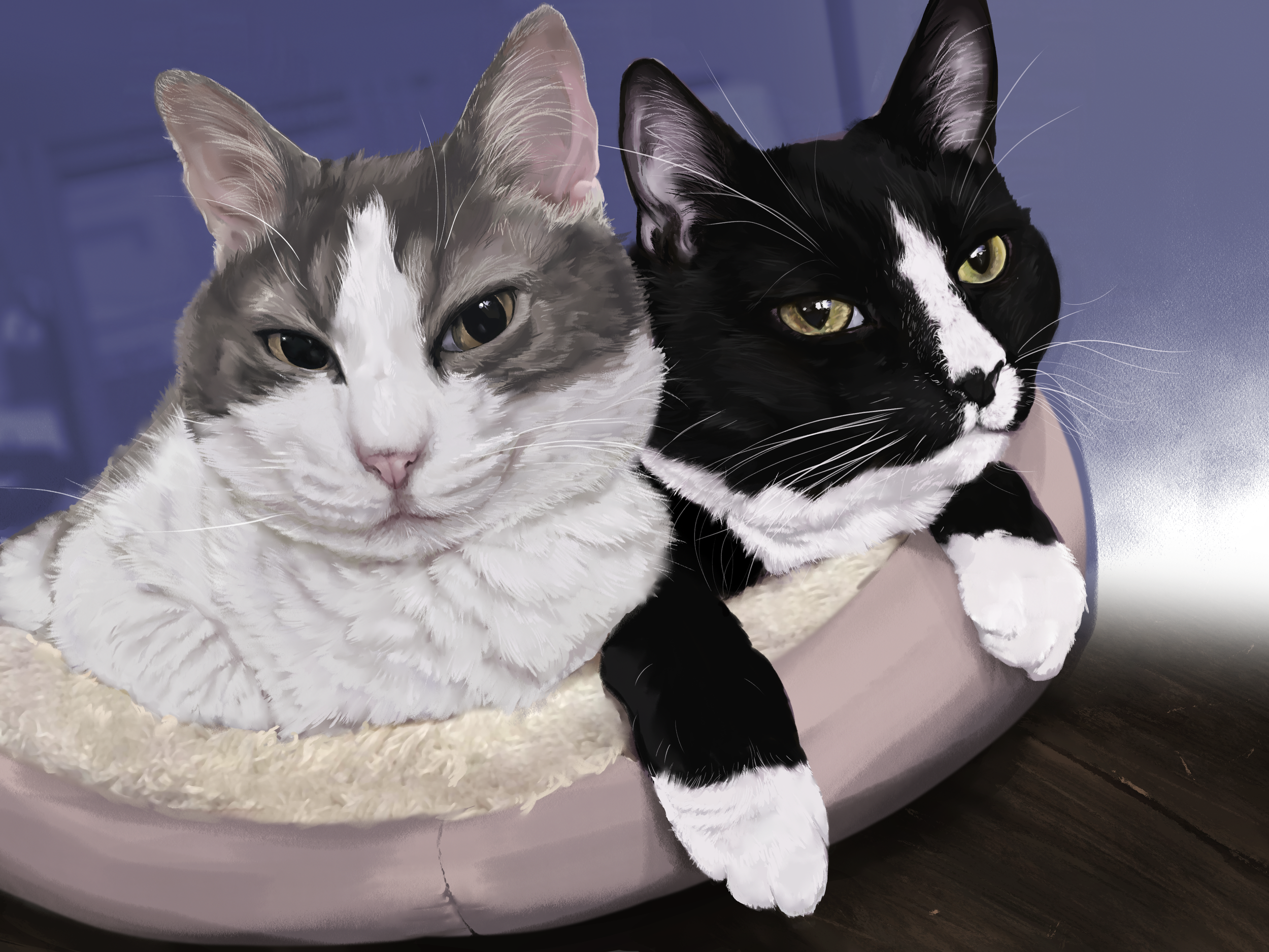 Two cats lying in a round pet bed, one gray and white and the other black and white, with attentive expressions.