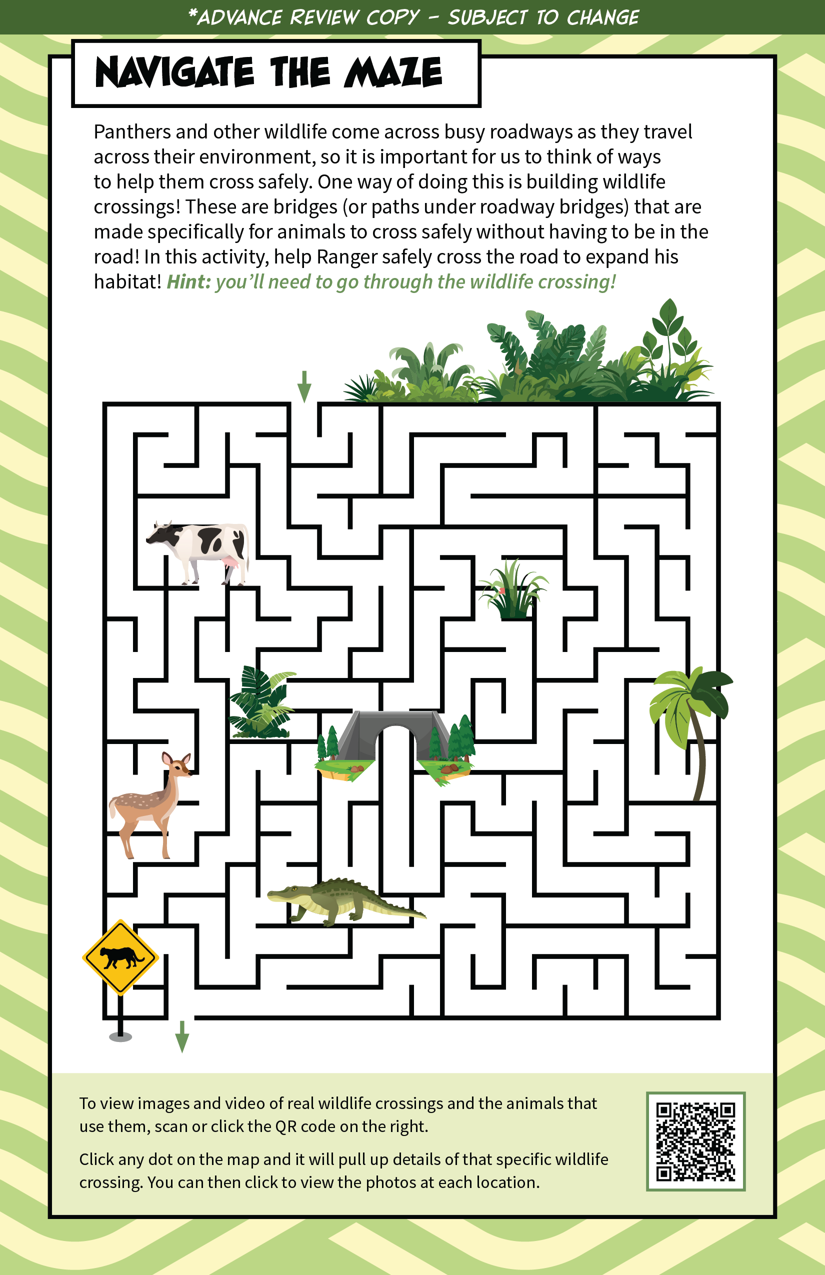 Ranger images-09.png