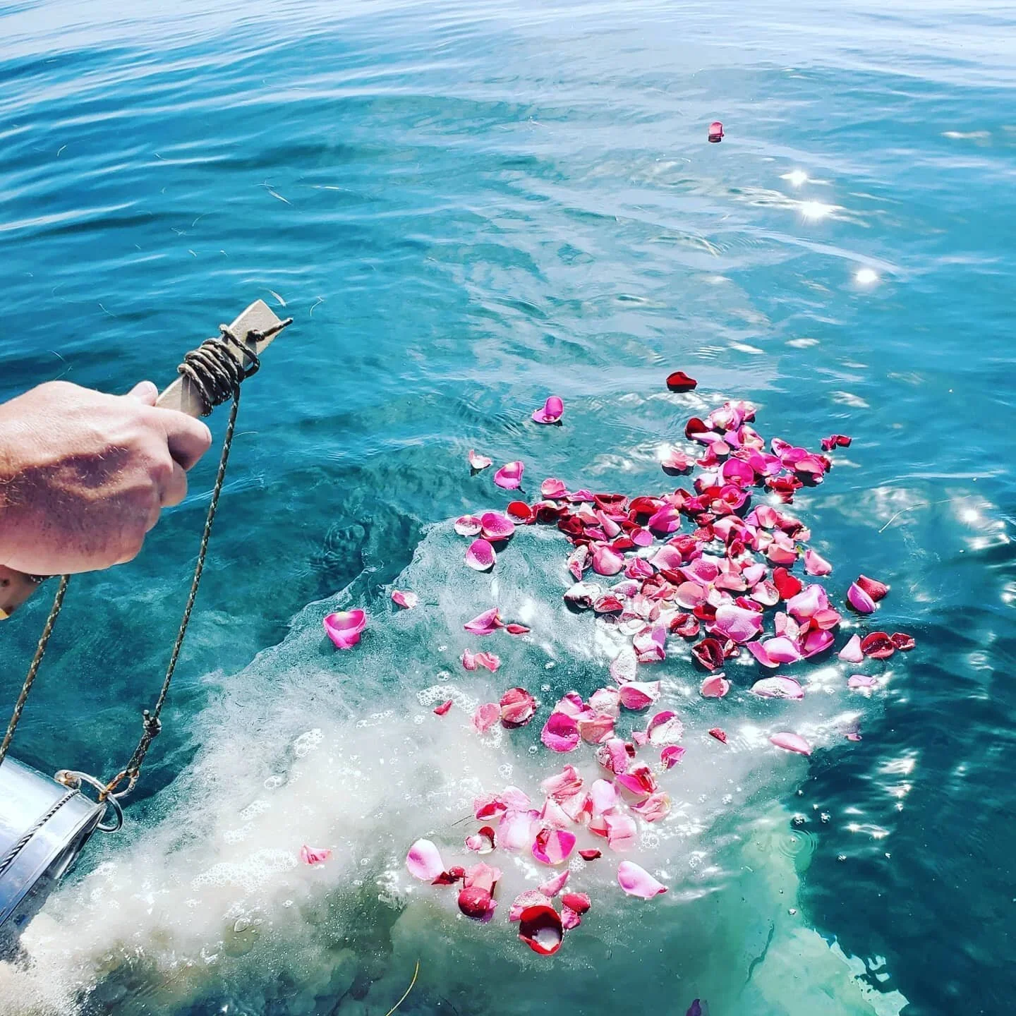 A hand holding onto a white rope on a boat, casting pink and red flower petals into clear blue water.