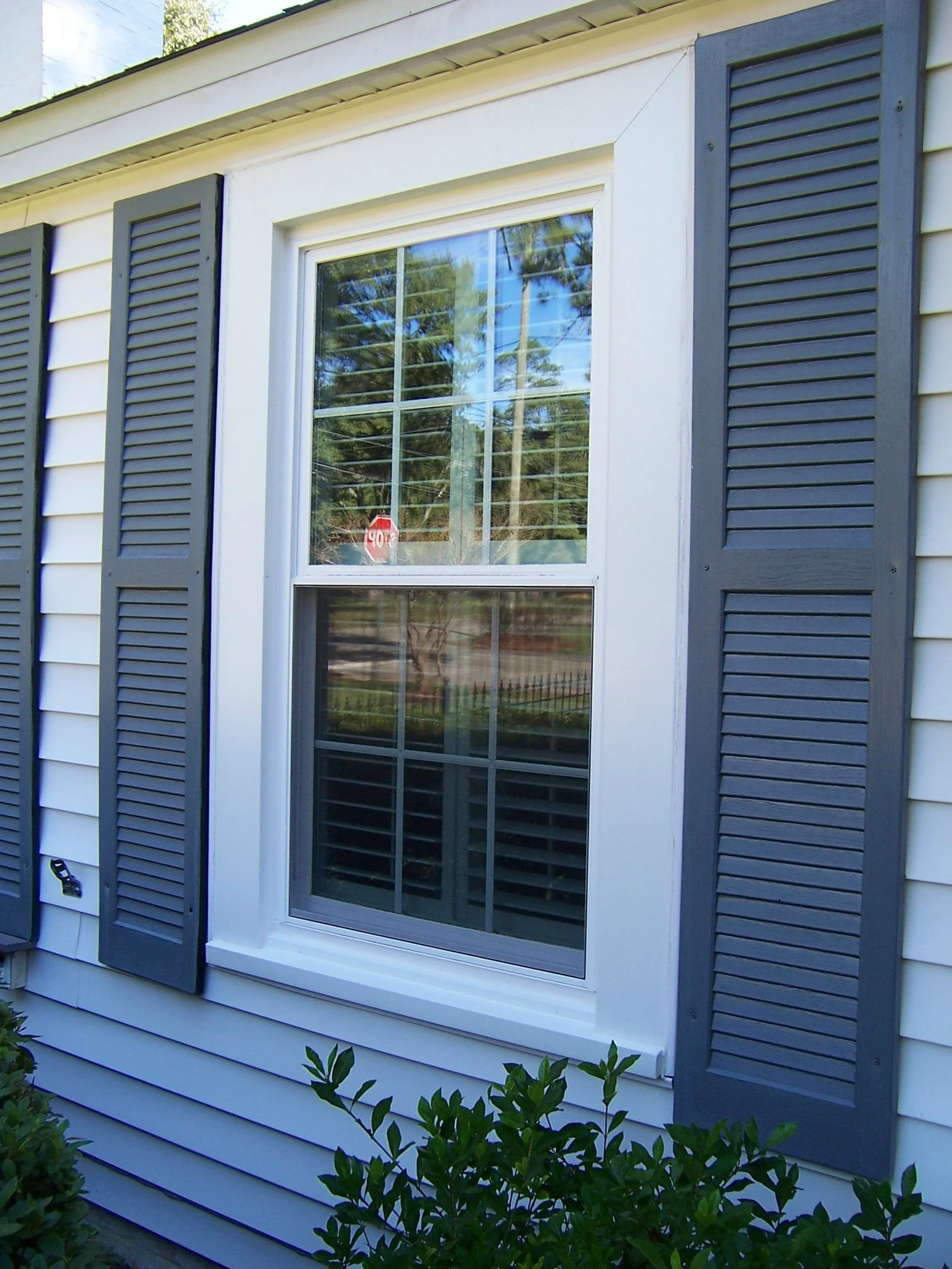 Large residential replacement windows bringing natural light into the home.