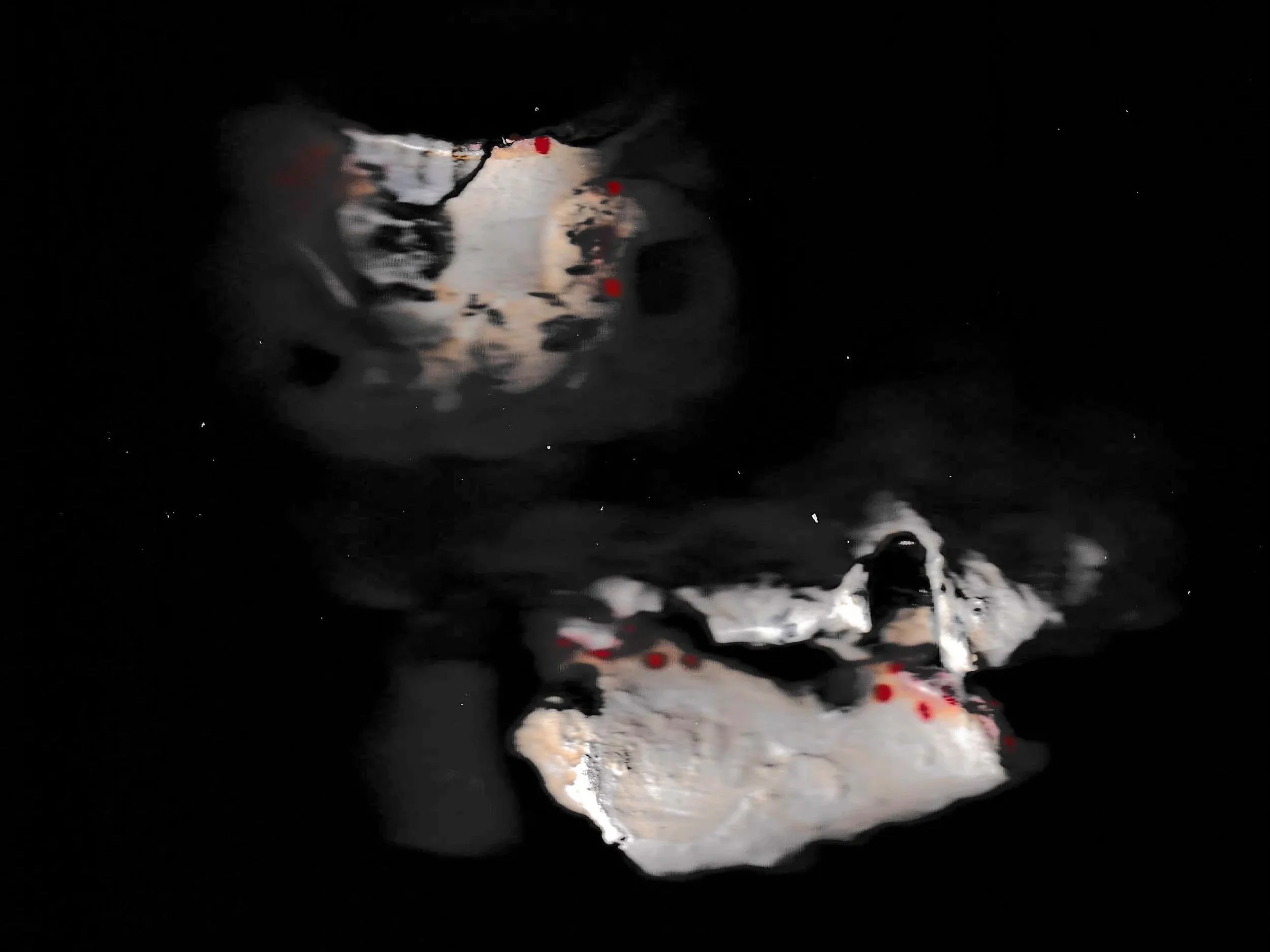 Ghastly scan of ⋆.˚·:｡･ ⋆ ˚𖦹 ⋆｡･